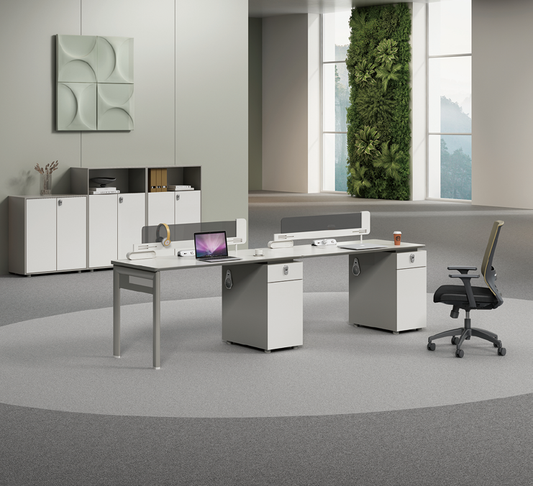 Modern Employee Desk Manufacturer | Minimalist Office Workstations-12-Z1206